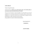 (Luận văn thạc sĩ file word) Nghiên cứu xác định nguyên nhân và đề xuất biện pháp xử lý sự cố sạt trượt mái đê, kè tuyến đê Hữu Hồng  Tỉnh Nam Định