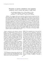 Bài tập tổng hợp - C8