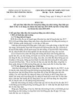 báo cáo công tác CTGS