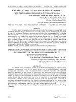KIẾN THỨC BẢN ĐỊA CỦA NGƯỜI KOR TRONG BẢO TỒN VÀ PHÁT TRIỂN LOÀI QUẾ TRÀ BỒNG Ở TỈNH QUẢNG NGÃI