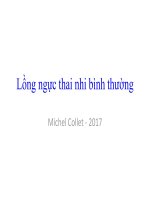 lồng ngực thai nhi bình thường