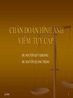 tài liệu phần mềm siêu âm