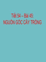 Sinh: Nguồn gốc cây trồng