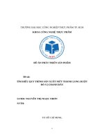 TÌM HIỂU QUY TRÌNH SẢN XUẤT MỨT THANH LONG RUỘT ĐỎ VỊ CHANH DÂY