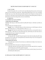 Tranh vẽ của Trần Hải Thắng