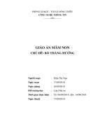 Bò thẳng hướng