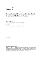 Đọc thêm: Productivity Spillovers from Foreign Direct Investment: The Case of Vietnam