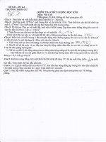 ĐỀ KIỂM TRA CHẤT LƯỢNG HKII NĂM HỌC CHƯA XÁC ĐỊNH (10 NC)