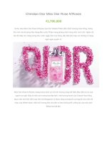 Christian dior miss dior rose n’roses