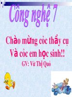 BÀI HỌC CÔNG NGHỆ 7 TUẦN HỌC ONLINE