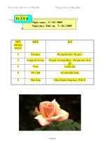 Giáo án Lớp 3 Tuần 8 - Thứ 4, 5, 6 - Trường Tiểu học Lý Thường Kiệt