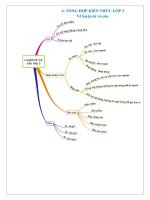 TV3 TỔNG hợp lý THUYẾT LUYỆN từ và câu 