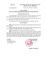 QĐ-BYT vv ban hành hướng dẫn chẩn đoán và điều trị bạch cầu
