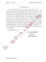 Luận văn kinh tế Công ty Cổ phần Đầu tư Xây dựng và Thương mại Thiên Phát Thịnh .