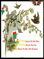 Bài giảng Tập đọc - Vương quốc vắng nụ cười (tiếp theo)