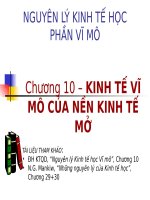 KINH tế vĩ mô của nền KINH tế mở (KINH tế vĩ mô SLIDE) 