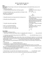 ĐỀ ôn tập vật lý 10  HKI NH 2019 2020 