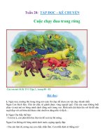 BÀI 19 : CUỘC CHẠY ĐUA TRONG RỪNG (TUẦN 28)