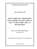 HOÀN THIỆN QUY TRÌNH KIỂM TOÁN nội bộ tại TỔNG CÔNG TY đầu tƣ PHÁT TRIỂN NHÀ và đô THỊ (HUD) 
