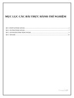 Báo cáo thực hành matlab