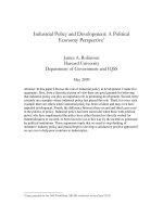 Industrial Policy and Development: A Political Economy Perspective