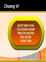 QUYẾT ĐỊNH CUNG của DOANH NGHIỆP TRÊN THỊ TRƯỜNG độc QUYỀN HOÀN TOÀN (KINH tế VI mô SLIDE) 