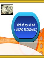 Những khái niệm cơ bản của kinh tế học (KINH tế VI mô SLIDE) 