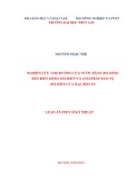 Nghiên cứu ảnh hưởng của nước dâng do sóng đến biến động bãi biển và giải pháp bảo vệ bãi biển cửa đại, hội an 