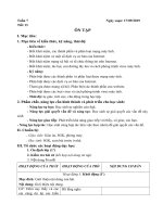 Giáo án Tin học 9 - Tuần 7
