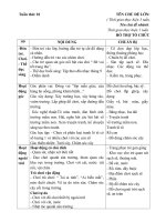 giáo an phối hợp tổ chức các hoạt động (lớp 3TC2-2018-2019)