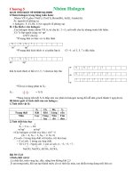 [Hóa học 10] Lý thuyết đầy đủ chương Halogen (word)