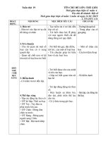 Giao án chủ đề thế giới thực vật tuần 19: Một số loai hoa