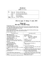 Mừng xuân Đinh Dậu