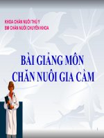 THỨC ăn và DINH DƯỠNG TRONG CHĂN NUÔI GIA cầm (PHẦN 2) (CHĂN NUÔI GIA cầm đại CƯƠNG SLIDE) 