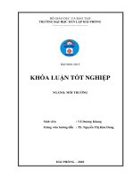 Nghiên cứu ảnh hưởng của một số hoạt động sản xuất tái sinh nhựa và đề xuất biện pháp giảm thiểu ô nhiễm môi trường 