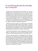 Chiến thắng Bạch Đằng (1288)