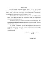 (Luận văn thạc sĩ file word) Nghiên cứu đề xuất giải pháp nâng cao hiệu quả đầu tư trong quá trình khai thác sử dụng công trình hồ Trọng  Hòa Bình