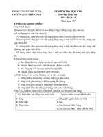 Đề và đáp án kiểm tra môn Địa 6,7,8,9 học kỳ II