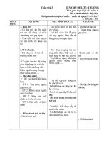 Giáo an lớp học của bé