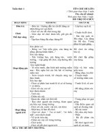 giao an phoi ket hop to chuc hoat dong tuan 1 (2017-2018). 3c1 thoa