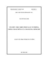 Tổ chức thực hiện pháp luật về phòng, chống tham nhũng của thanh tra chính phủ 