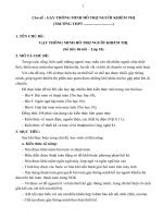 Giáo án STEM chủ đề gậy thông minh hỗ trợ người khiếm thị