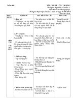 Giáo án tuần 1.Ngày hội đến trường của bé