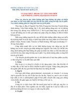 15 LOẠI THỰC PHẨM CỰC TỐT CHO PHỔI GIÚP PHÒNG CHỐNG ĐẠI DỊCH COVID 19