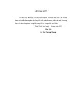 Bảo đảm quyền công tố trong giai đoạn điều tra, xét xử sơ thẩm vụ án hình sự   từ thực tiễn viện kiểm sát nhân dân tỉnh quảng bình 