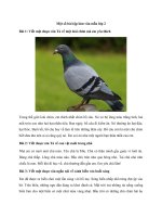 Tập làm văn lớp 2 tổng hợp bài văn mẫu hay