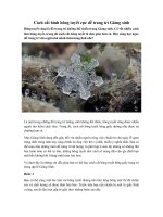 Tải Cách cắt hình bông tuyết cực dễ trang trí Giáng sinh - Mẹo cắt bông tuyết cực đơn giản cho Noel