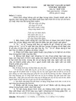 Đề thi thử vào lớp 10 môn Ngữ văn trường THCS Đức Giang