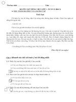 Bài tập - Lớp 3 - Tuần 22