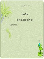 SEMINAR (BỆNH CHÓ mèo) BỆNH CARRÉ TRÊN CHÓ (THÚ y) 